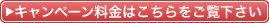 �L�����y�[�������͂����������������